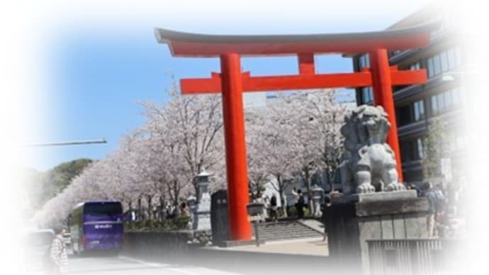 4/17 めぐり~鎌倉は桜らんまん。。。源吉兆庵