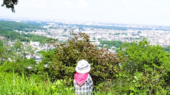 飯能・龍崖山に登る