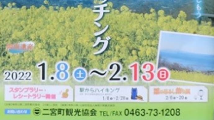 1/19 二宮町 吾妻山公園~川勾神社