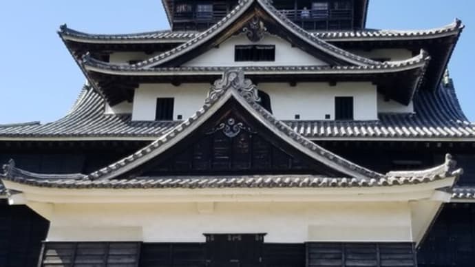【第531回ライブ】州最高裁判事逮捕とRVイラクディナール‼️