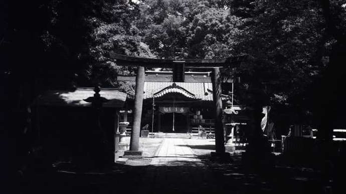 フィルムカメラ「Konica_S」で試写してきた。