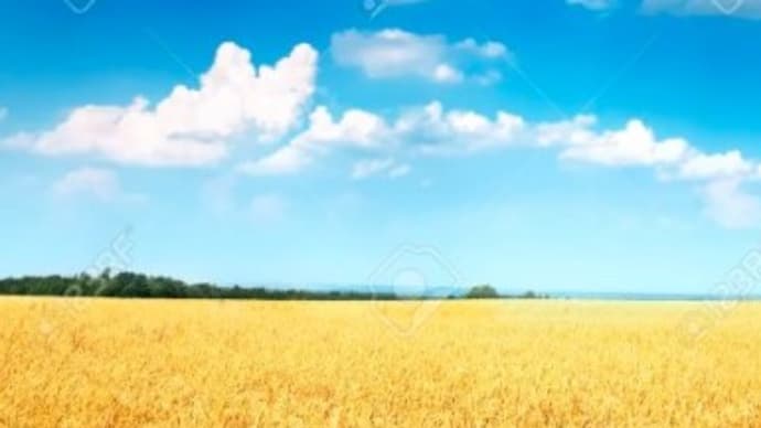 😷 世界を敵にまわして生き残った "ヤツ" はいない 😷
