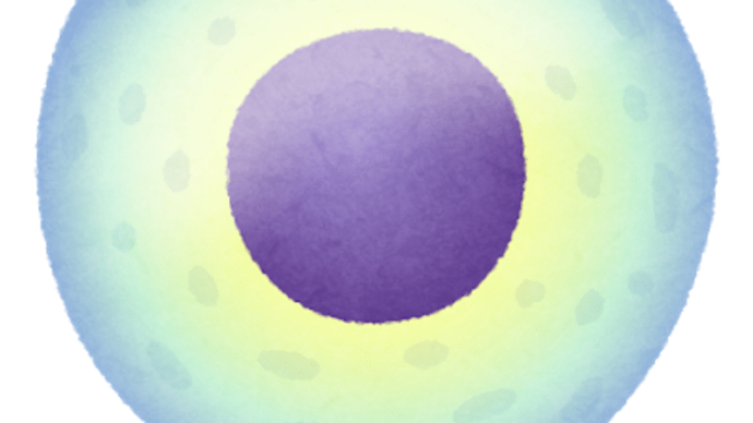 iPS細胞って?