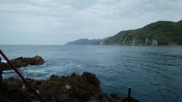 グレ釣り案内