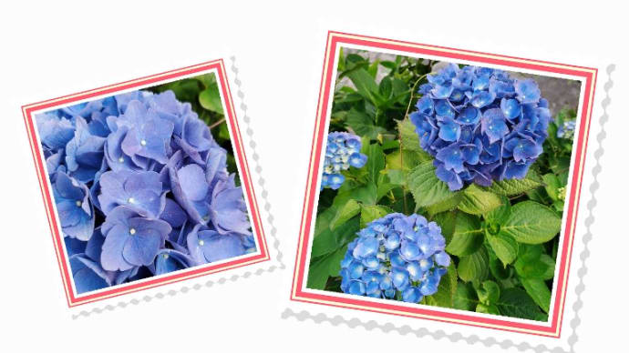 花から枯れ葉まで