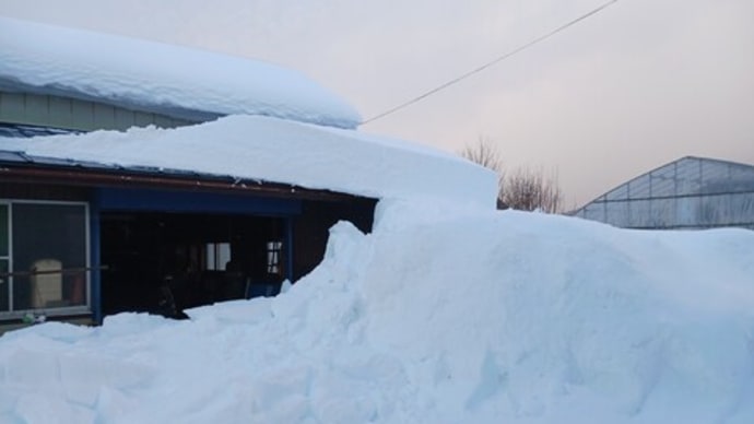 除雪作業、小屋の屋根から落ちた雪