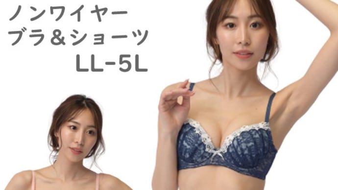 大きいサイズ ブラセット ノンワイヤー ブラジャー&ショーツセット 脇高 花柄レース LL 3L 4L 5L