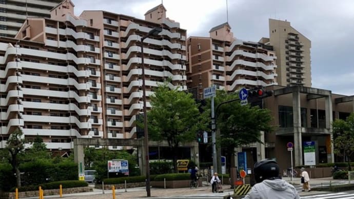 2019/7/8◆梅雨の合間の・・・貴重な晴れ間！