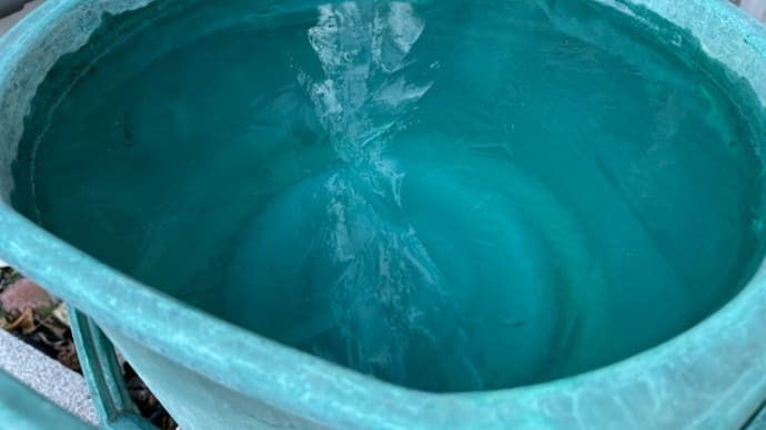 だいぶ雪はとけたかも。