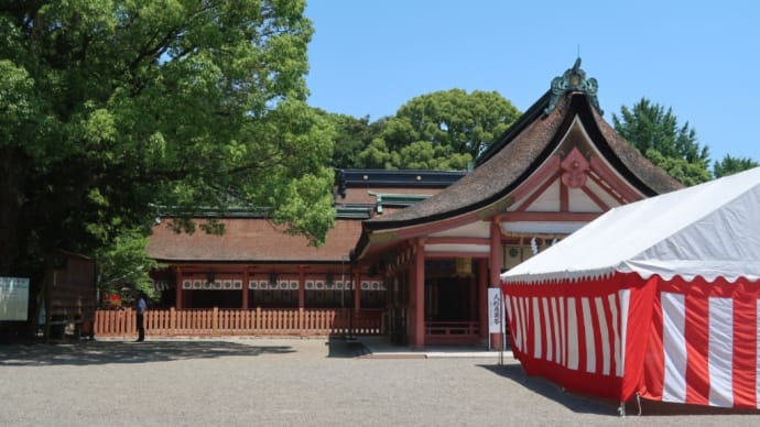 ネズミが去ったが、されど、一難去ってまた一難、の巻