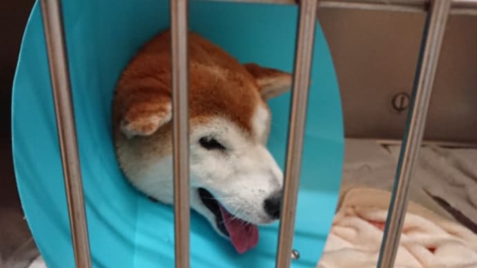 面会してきました 190701