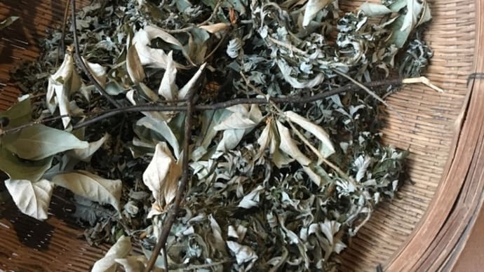 冬の野草茶