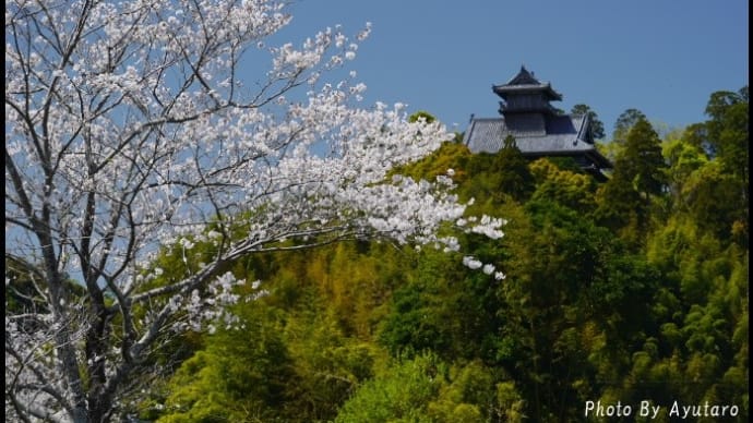 日本の春風景