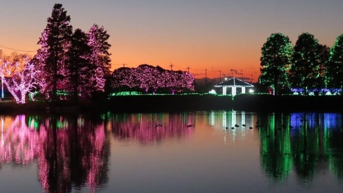 河内町の水鏡のイルミネーション