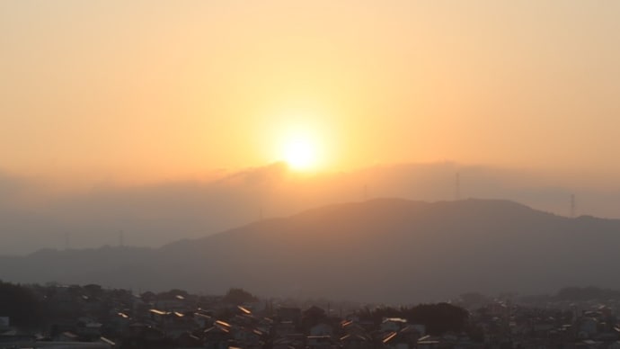 お彼岸のお参りと菜の花