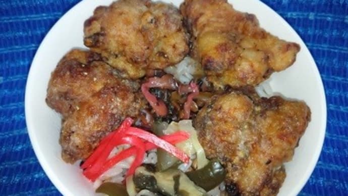 岩手県産フランス赤鶏南部どり手羽ぷり塩麹竜田なお総菜でまずは晩御飯にしたんだね:D