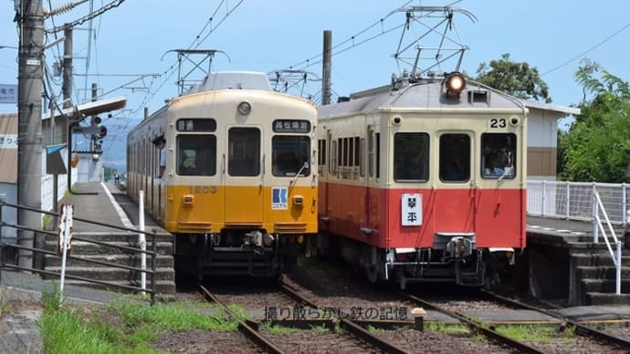 琴電 羽間(2019.8.11) レトロ特別運転 23+500+120 琴電琴平行き/1203 高松築港行き 並び