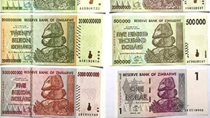 「Zim」で個人資金をつくりたい方は?!