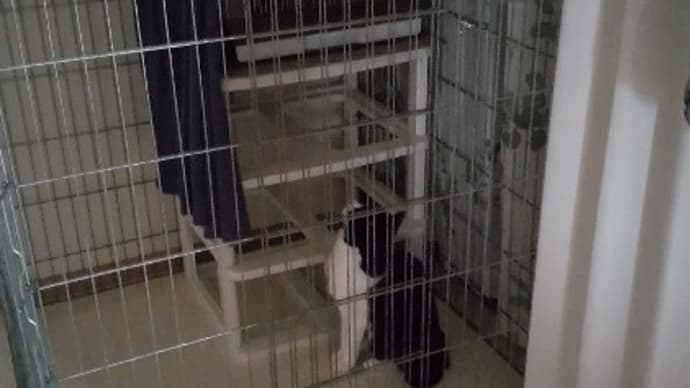 なんで??