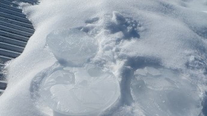 こんなブログでもよろしくお願いします