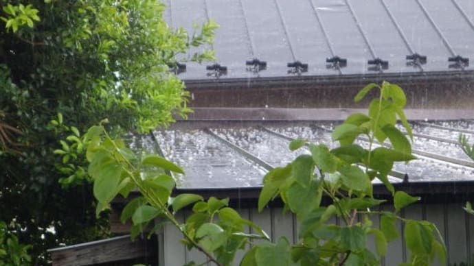 うひょひょ~~~~っ