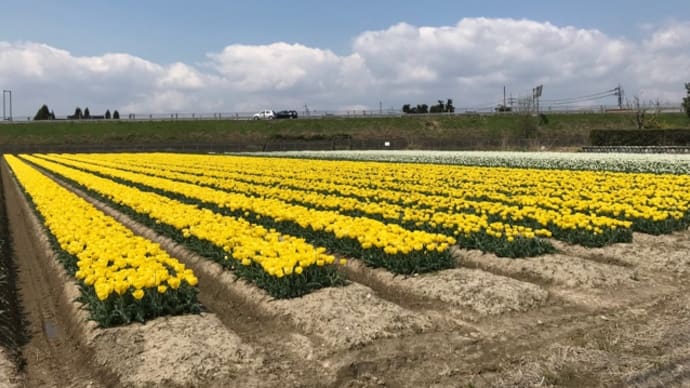 今日は現地から投稿