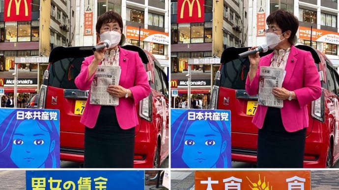 小俣のり子 江戸川区議会議員 新小岩駅宣伝