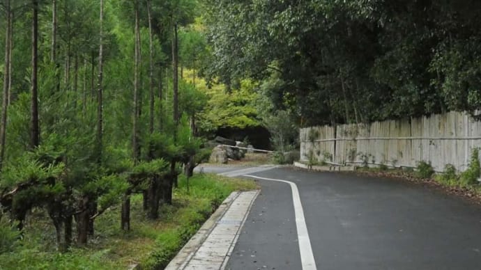 まち歩き (嵯峨野)