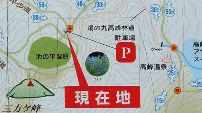 水ノ塔山・東篭ノ登山・池の平湿原周回です 20180721
