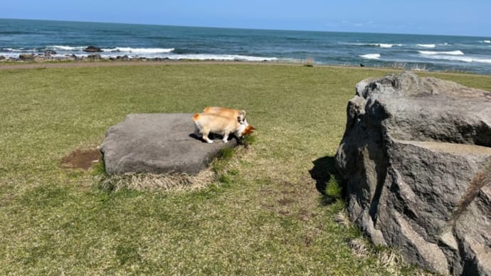 日本海と鳥海山