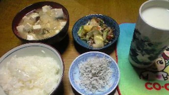 長野市でリニア新幹線について考えてみる