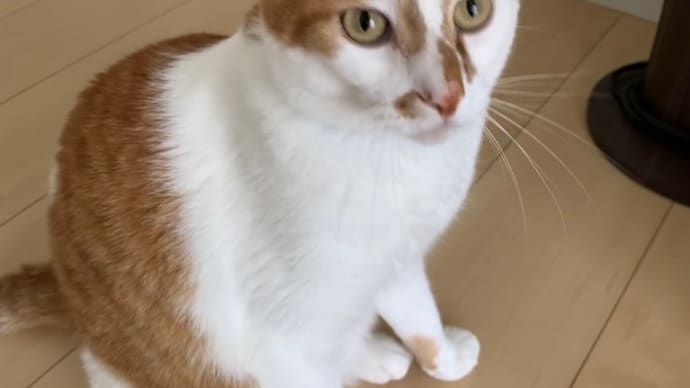 今日は雨か