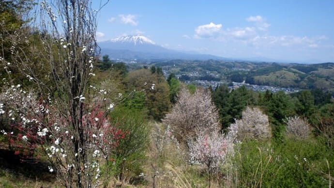 岩山-毛無森山