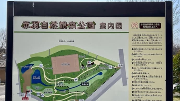 北区 赤羽自然観察公園