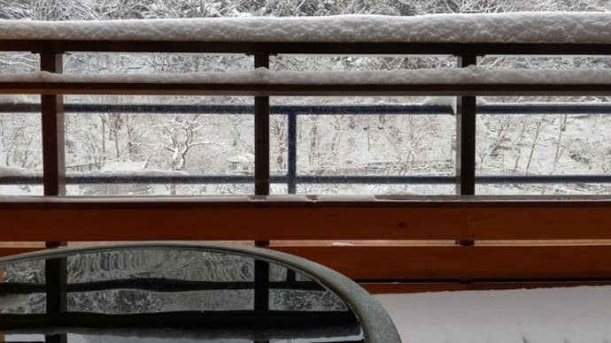 絶景雪景色になりました!