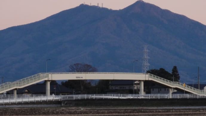 42.195キロ走ると肉体はどう変化?