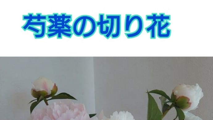 5/16（火）芍薬園の花畑〜🎵迷い道＝渡辺真知子🎵〜🍌僕ﾝ家のfruits🍌　