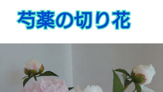 5/16(火)芍薬園の花畑〜🎵迷い道=渡辺真知子🎵〜🍌僕ン家のfruits🍌