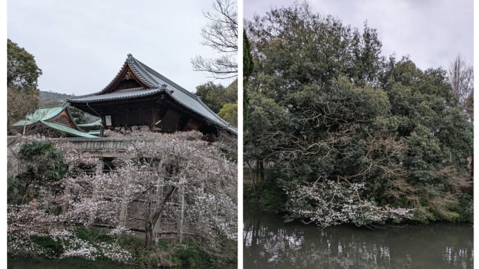お花がいっぱい😍