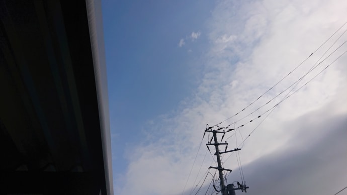 いろいろと大変です…毎日が。
