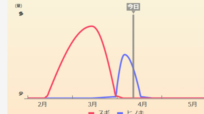 花粉はまだ多い