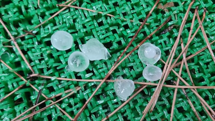 雹が降ってきた!