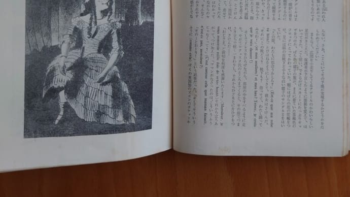 懐かしい本を読み、聴く