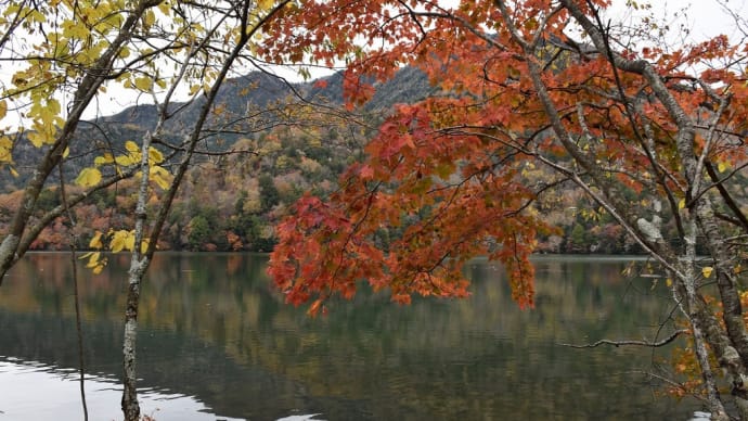 もみじ狩り 栃木県日光市 湯元温泉・戦場ヶ原(6)湯滝の頂上