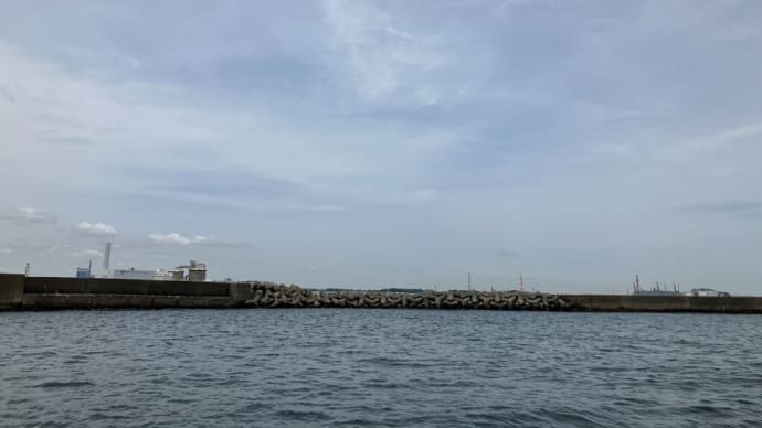 結果としては良かったかな? 東京湾 タイジグ便 2025/5/22