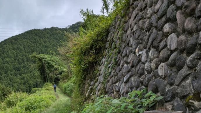 9月の山はラニヘッドトレイルで日の出山からつるつる温泉♨➁