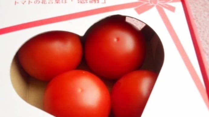 リコピン約1,5倍のトマト