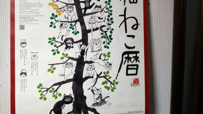 年末の恒例行事(大掃除編)