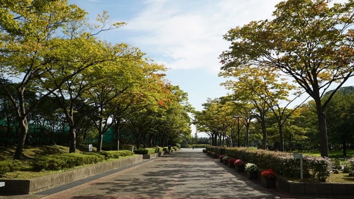 土門拳写真美術館