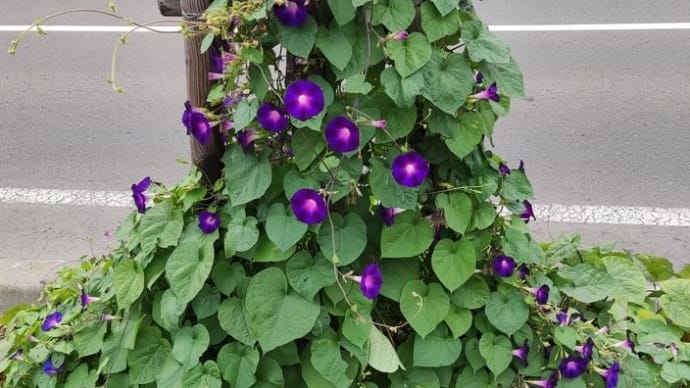 宝石